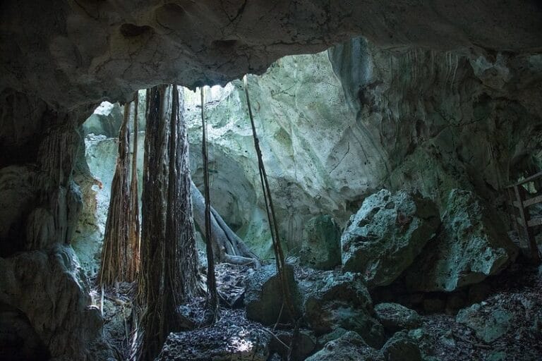 Beach Horseback Riding & Green Grotto Caves Combo Tour