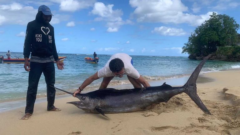 Fishing In Ocho Rios