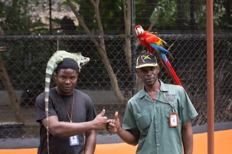 Ocho Rios Highlights Tour – Blue Hole & Konoko Gardens