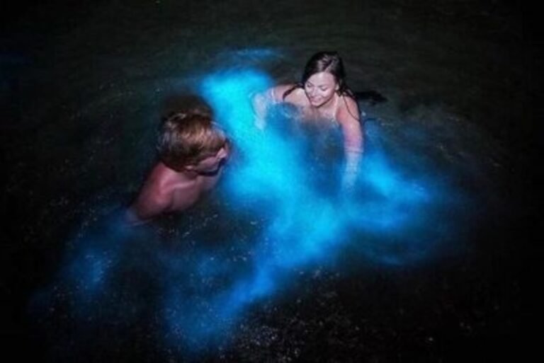 Luminous Lagoon Tour Jamaica