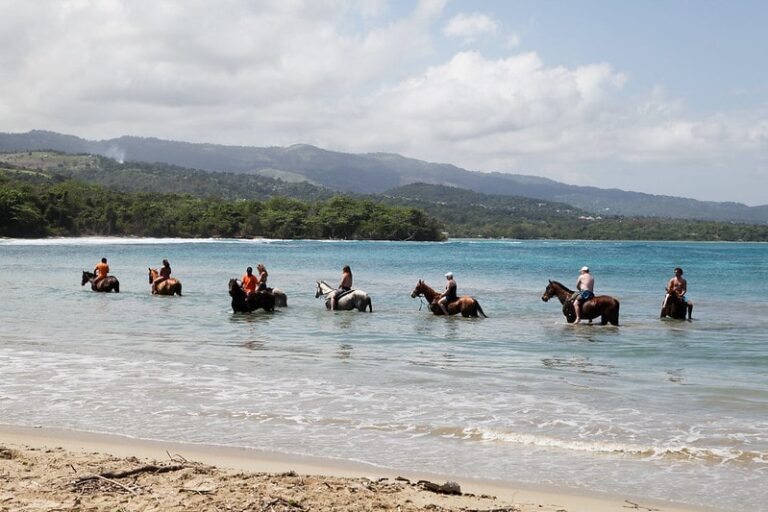 Beach Horseback Riding and Dunns River Falls