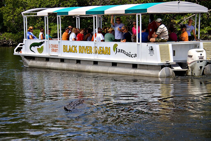 Black River Crocodile Safari & Wetlands Boat Tour