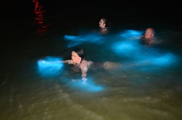 Luminous Lagoon Private Tour – Bioluminescent Night Swim