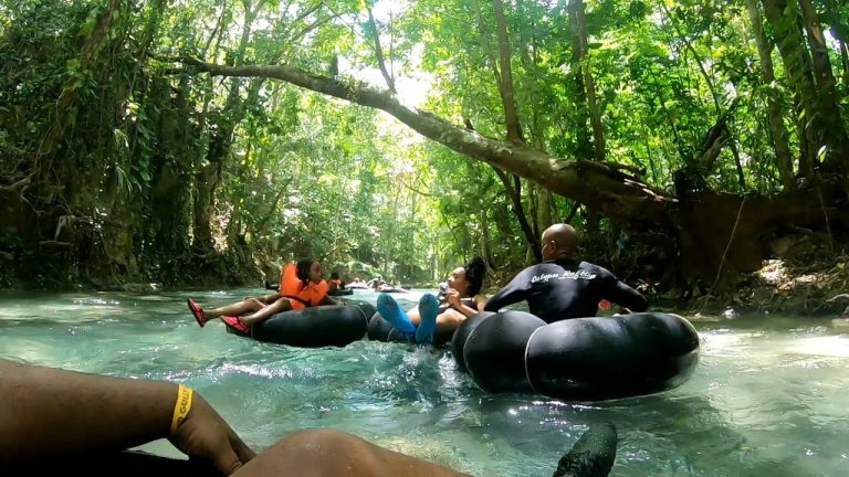 Dunn’s River Falls Climb, Falls Flyer Zipline & White River Tubing Adventure