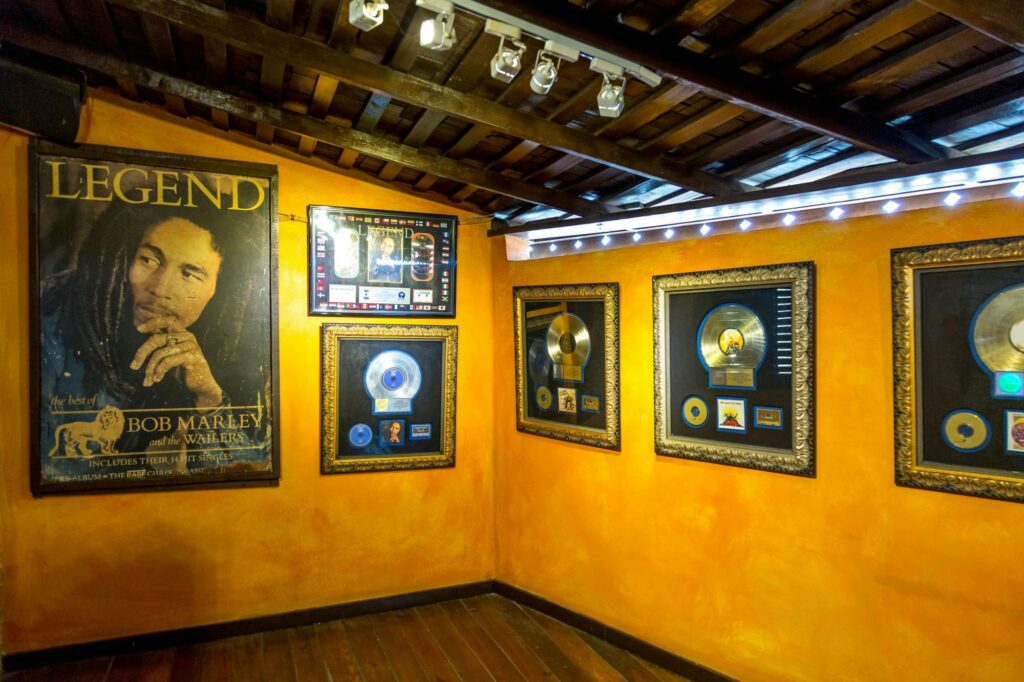 Bob Marley Museum & Kingston City Highlights Tour