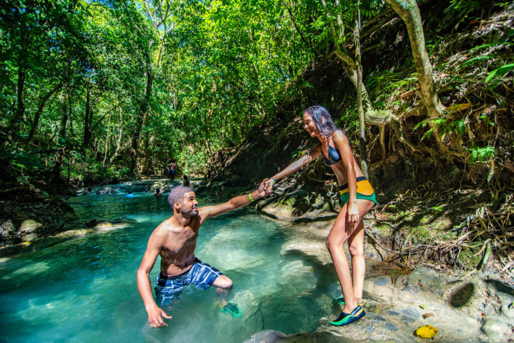Mayfield Falls River Walk & Waterfall Adventure