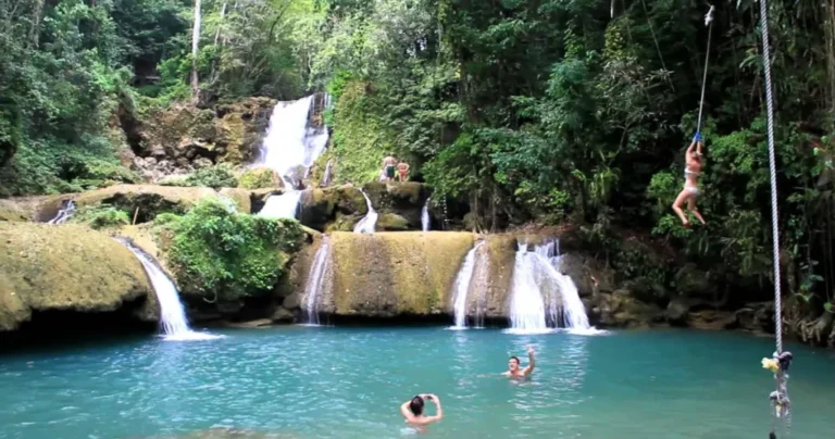YS Falls & Floyd’s Pelican Bar South Coast Adventure