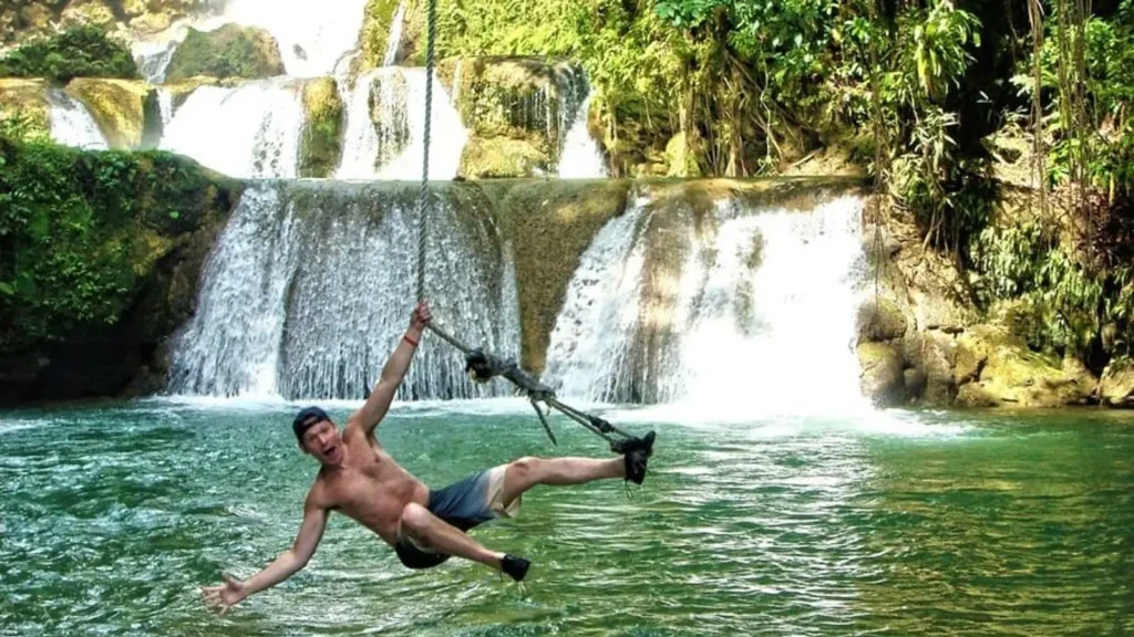 Black River Safari & YS Falls South Coast Adventure