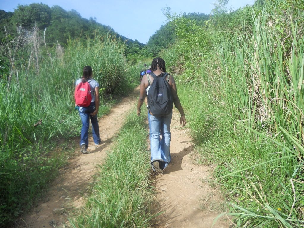 Custom Tour - Falmouth