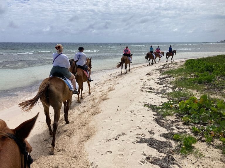 Sand & Saddle Beach Horseback Riding Tour – Montego Bay