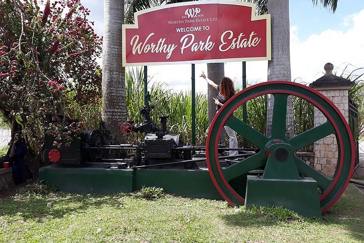 Worthy Park Estate Rum Tour – Jamaican Rum, History & Tasting