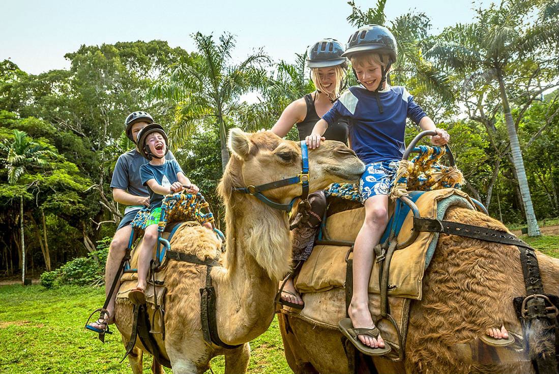 Jamaican Cultural Tour